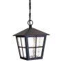Elstead Lighting CANTERBURY BL48M-BLACK Závěsná lampa 1x60W/E27 IP43