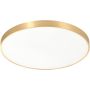 Zuma Line SIERRA CL12100009-GD Stropní lampa 1x60W/LED 4000K 4500LM IP20