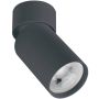 Zambelis CEILING SPOT S124 Nástěnné osvětlení 1x40w/GU10 IP20
