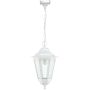 Novolux ELITE 6 096C-G05X1A-01 Závěsná lampa 1x42W/E27 IP43