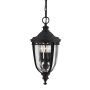 Feiss ENGLISH BRIDLE FE-EB8-M-BLK Závěsná lampa 3x60W/E14 IP23