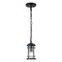 Feiss Lighthouse FE-LIGHTHOUSE8-S-BLK Lampa wisząca 1x60W/E27 IP44