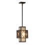 Feiss REMY FE-REMY-P-C Závěsná lampa 1x60W/E27