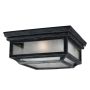 Feiss SHEPHERD FE-SHEPHERD-F Stropní lampa 2x75W/E27 IP44
