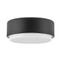 Hinkley Lighting Cedric HK-CEDRIC-F-S-BK Stropní lampa 2x40W/E27 IP20