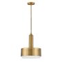 Hinkley Lighting Cedric HK-CEDRIC-P-M-BR Závěsná lampa 2x60W/E27 IP20