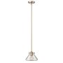 Hinkley Lighting CONGRESS HK-CONGRESS-P-A-BC Závěsná lampa 1x60W/E27