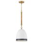 Hinkley Lighting Nash HK-NASH-P-HB Závěsná lampa 1x60W/E27 IP20