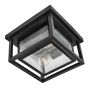 Hinkley Republic HK-REPUBLIC-F-BK Stropní lampa 2x40W/E27 ip44