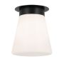 Kichler Albers KL-ALBERS-F-T-BK Stropní lampa 1x40W/E27 IP20