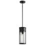 Kichler Camillo KL-CAMILLO-P-TBK Závěsná lampa 1x60W/E27 IP44