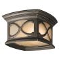 Kichler FRANCEASI KL-FRANCEASI-F Stropní lampa 2x60W/E27 IP44