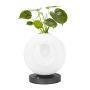King Home BOTANICA MT80531-1-1-200 Stolní lampa 1x0,5W/LED 3000K 460LM IP20