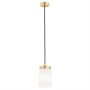 Argon PASADENA 8004 Závěsná lampa 1x15W/E27 IP20