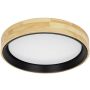 Italux CAMPELO PLF-4350-25W-WD-BK-4K Stropní lampa 25W/LED 4000K 2500LM IP20