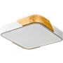 Italux Santer PLF-13187-WH-WO Stropní lampa 1x24W/LED 3000K 2400lm IP20