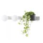 Kaspa BOTANICA DECO 20852201 Nástěnná lampa 2x9W/E14 IP20