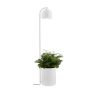 Kaspa BOTANICA XL 40848101 Stojací lampa 1x9W/GU10 IP20