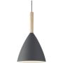 Nordlux PURE 43293010 Závěsná lampa 1x40W/E27 IP20