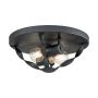 Quoizel Bradbury QZ-BRADBURY-F-GK Plafon 2x60W/E14