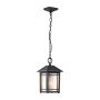 Quoizel Cedar Point QZ-CEDAR-POINT8-M-BK Lampa wisząca 1x60W/E27 IP44