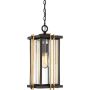 Quoizel GOLDENROD QZ-GOLDENROD8-M Závěsná lampa 1x60W/E27 IP23