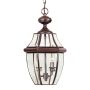 Quoizel NEWBURY QZ-NEWBURY8-L-AC Závěsná lampa 2x60W/E14 IP44