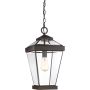 Quoizel RAVINE QZ-RAVINE8-L Závěsná lampa 1x60W/E27 IP44