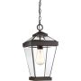 Quoizel RAVINE QZ-RAVINE8-M Závěsná lampa 1x60W/E27 IP44