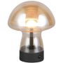 Trio DOOLEY R54981113 Stolní lampa 1x1.5w/led 3000k 140lm ip20