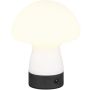 Trio DOOLEY R54981131 Stolní lampa 1x1.5w/led 3000k 140lm ip20