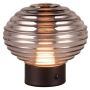 Trio EARL R57771154 Stolní lampa 1x2w/led 3000k 100lm ip20