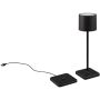 Trio FERNANDEZ R54096132 Stolní lampa 1x1w/led 2700+4000+6000K 130lm ip54