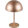Trio MUNOZ R54891165 Stolní lampa 1x1.3w/led 3000k 120lm ip20