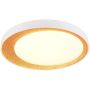 Trio ALETA R64611179 Stropní lampa 1x24w/led 2700-6500k 2500lm ip20