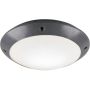 Trio CAMARO R60501042 Stropní lampa 1x12w/e27 ip54