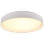 Trio FELIS R64391031 Stropní lampa 1x24w/led 2700-6500K 2500lm ip20