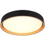Trio FELIS R64391080 Stropní lampa 1x24w/led 2700-6500k 2500lm ip20