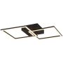 Trio TRAIL R64492132 Stropní lampa 1x20w/led 3000k 2250lm ip20