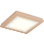 Argon TABOR 1866 Stropní lampa 4x15W/E27 ip20