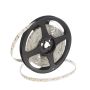 SMD LED HOMEline TAS4625SLL LED pás 120x9,7W/m/LED 3000K 880 lm/m IP20