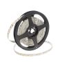 SMD LED HOMEline TAS4793SLL LED pás 120x9,7W/m/LED 4000K 880 lm/m IP20