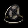 SMD LED PROline TAS4274SLL LED pás 120x12W/m/LED 4000K 1440 lm/m IP66
