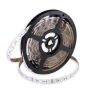 SMD LED PROline TAS4298SLL LED pás 60x14,4W/m/LED RGB IP20