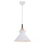 Zambelis PENDANT LAMP 180066 Závěsná lampa 1x40w/E27 IP20