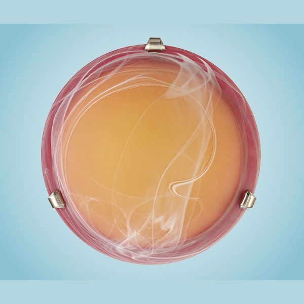 Eglo-SAMOA-27883-EGL27883