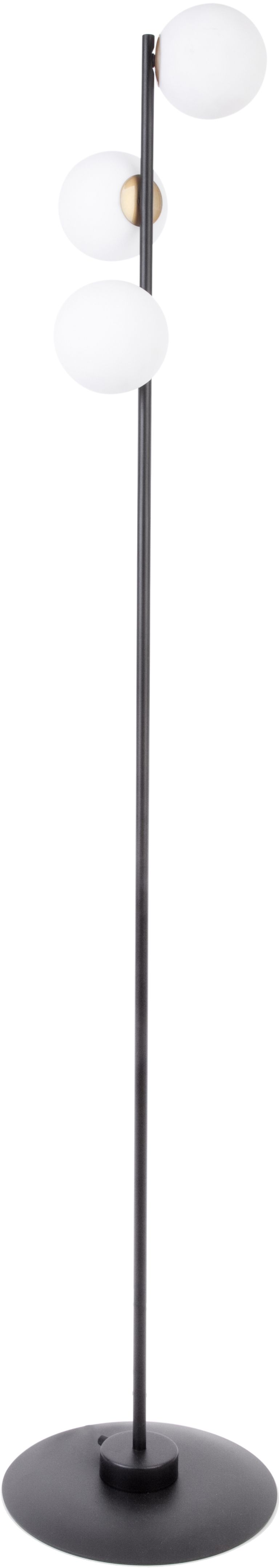 Sigma Lighting-GAMA-50203-SIG50203