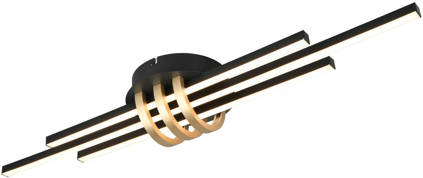 TRIO-CINTO-R67873180-TRIR67873180