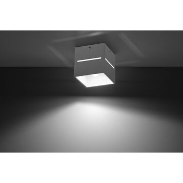 Sollux LOBO SL.0209 Nástěnné osvětlení 1x40W/G9