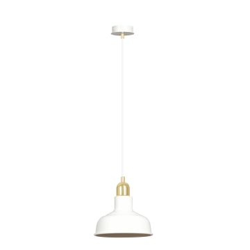 Emibig IBOR 1043/1 Závěsná lampa 1x15W/E27 IP20
